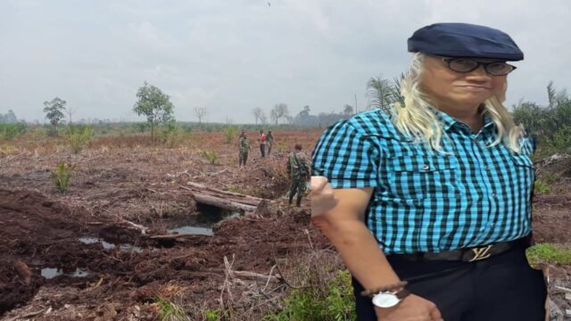 Harga TBS Sawit Jadi Sorotan, Pengamat Tegaskan Polisi Bukan Pengatur Pasar Namun Penegak Kepatuhan Hukum