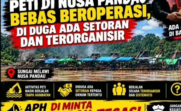 Video Viral Dugaan PETI di Nusa Pandau Viral, Aparat Diminta Segera Cek Lapangan